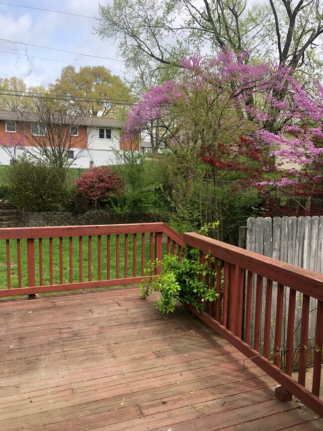 2528 Masters Dr, Cape Girardeau, MO 63701 House for Rent in Cape