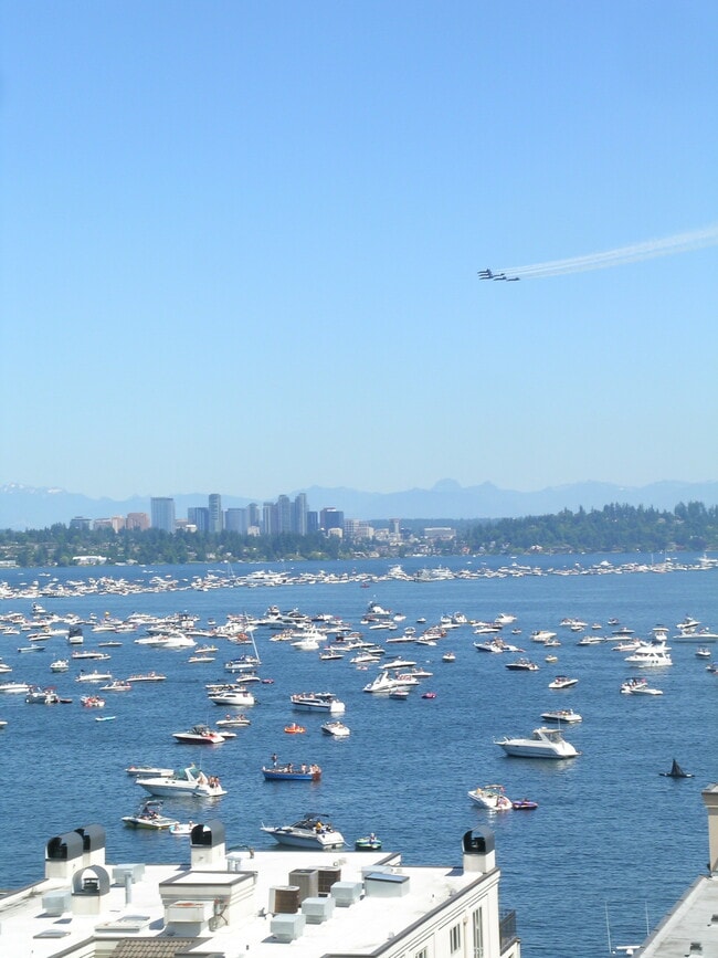 more flotilla - 335 Lakeside Ave S