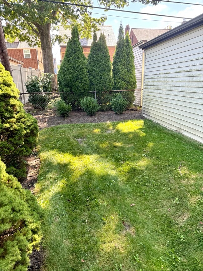 Backyard - 2475 Channing Rd