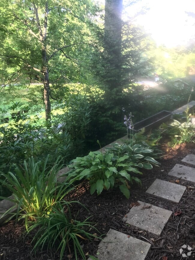 Apartments for rent in Waynesville NC 72 Rentals