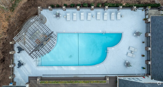 Pool - Hamilton Ridge