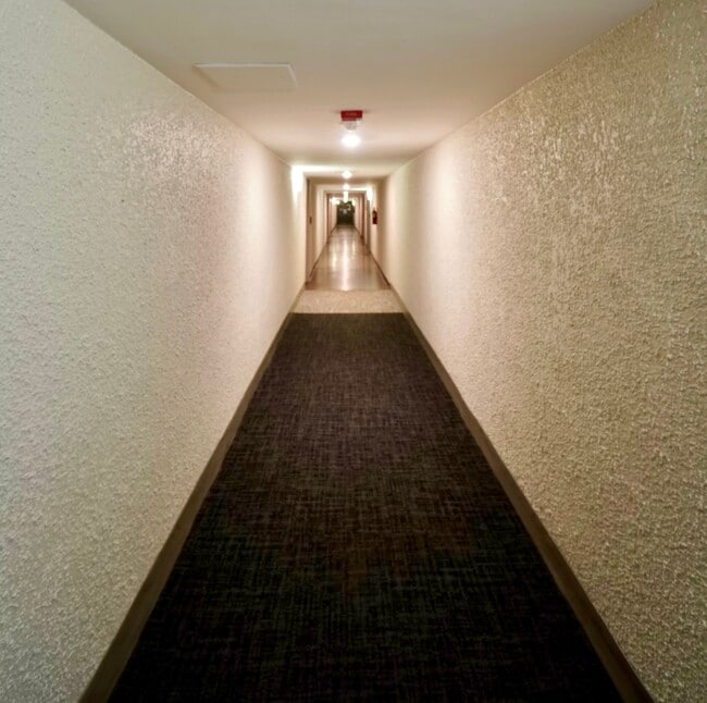 terrace hallway - 4977 Battery Ln