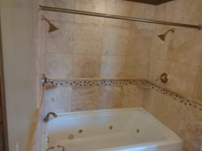 Master shower - 1413 Belvidere St