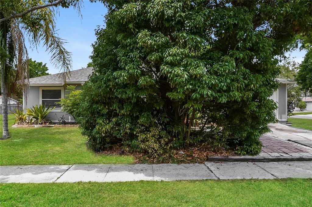 Foto principal - 574 Sundown Ct