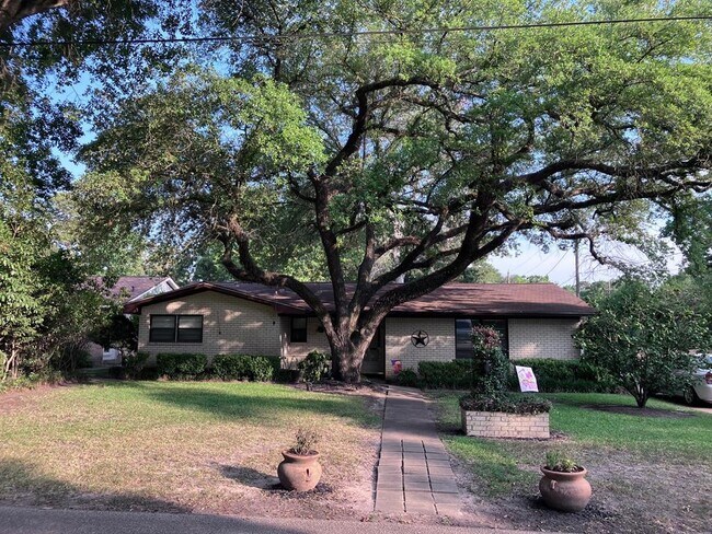 Building Photo - 505 Gay Dr