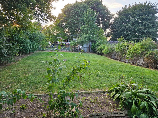 Building Photo - Amazing 2 BED 1 BATH BASEMENT UNIT IN HAMILTON MOUNTAIN