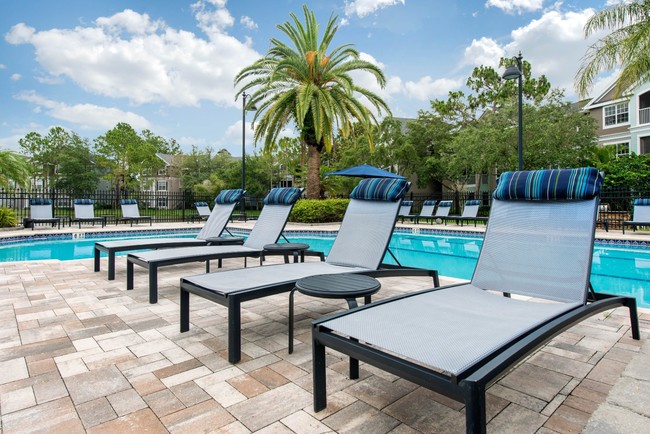 Sun Deck - The Grand Reserve at Park Isle Apartments