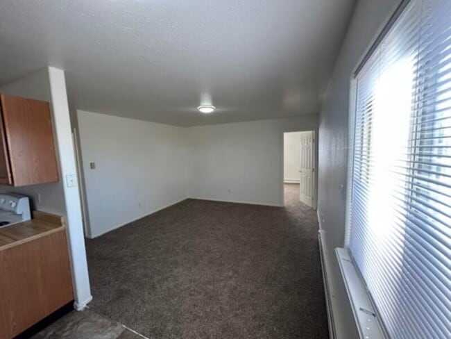 Building Photo - New Paint and Flooring Throughout!!