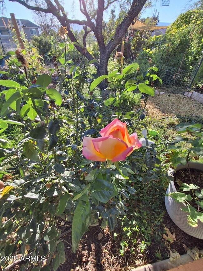 Foto del edificio - 4020 E Creek View Dr