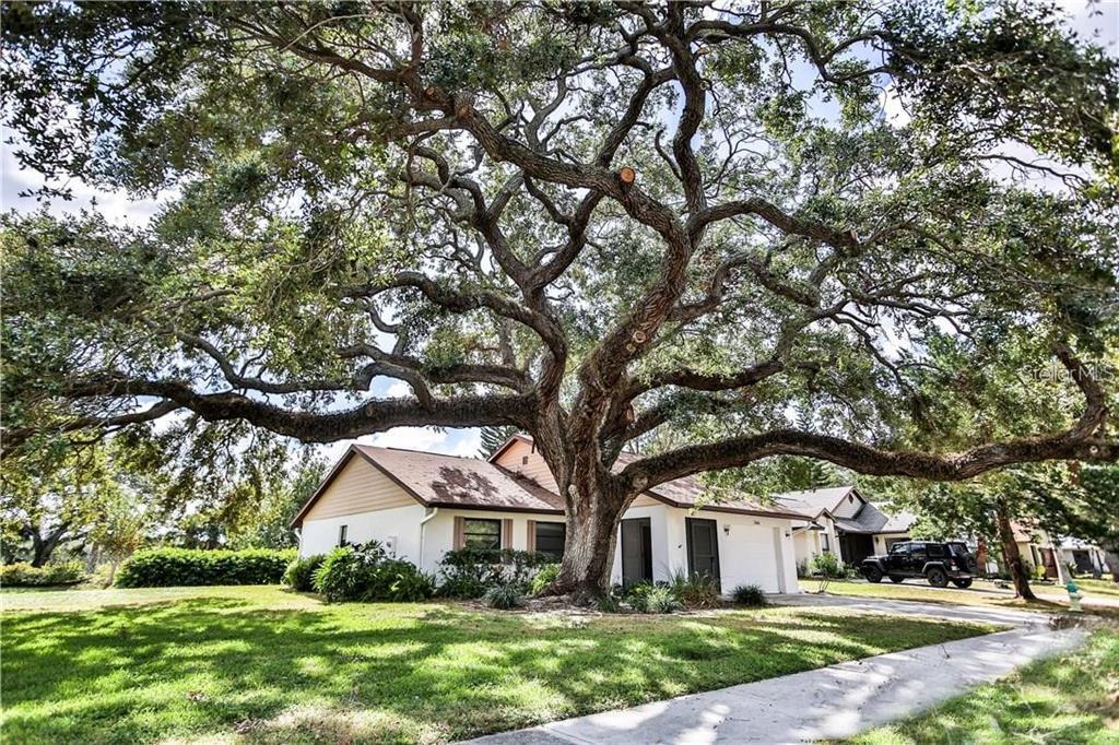 Foto principal - 5846 Deer Hollow Ln E