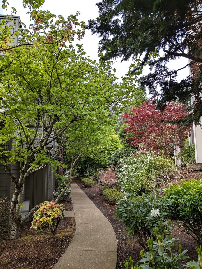 Foto del edificio - 2270 Snowberry Ridge Ct
