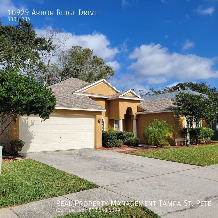 Stylish Citrus Park home Immediate move in House Rental in Tampa