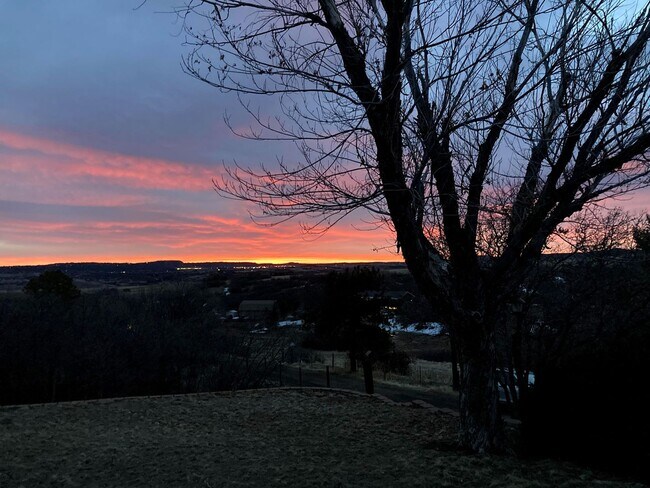 Building Photo - Acreage Property in Sedalia - Close to Cas...
