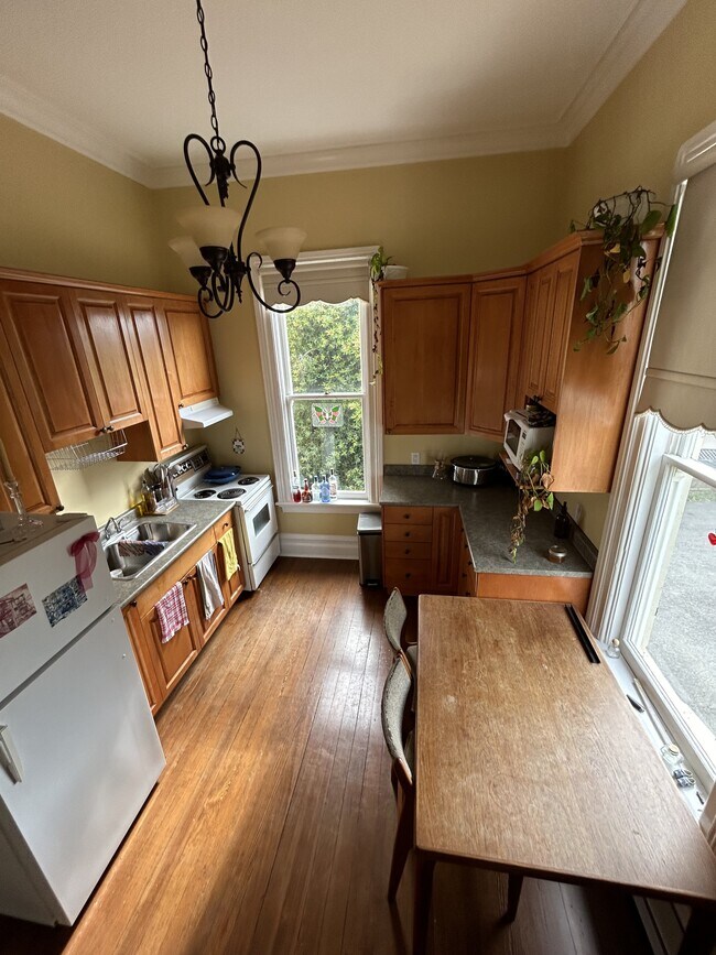 Photo du bâtiment - 146 Clarence St