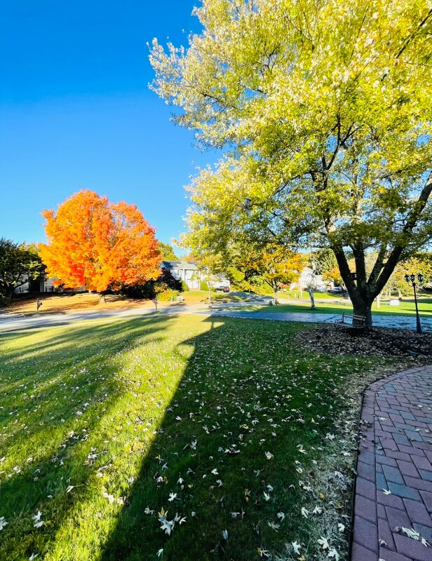 Building Photo - 6 Evergreen Ave