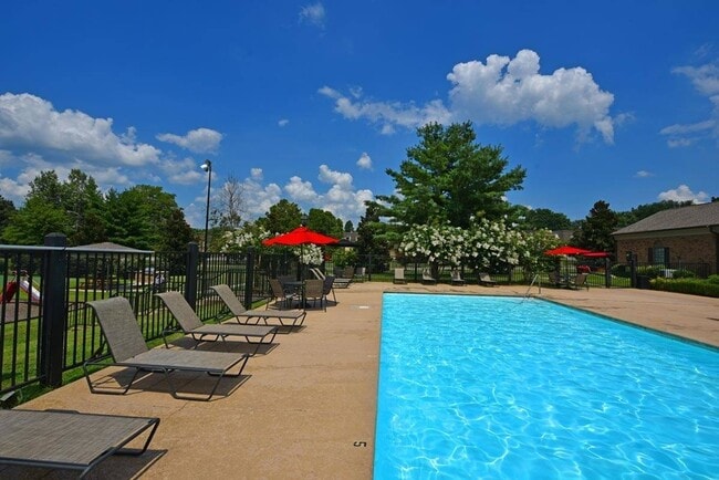 Swimming Pool with Sundeck - Marina Pointe