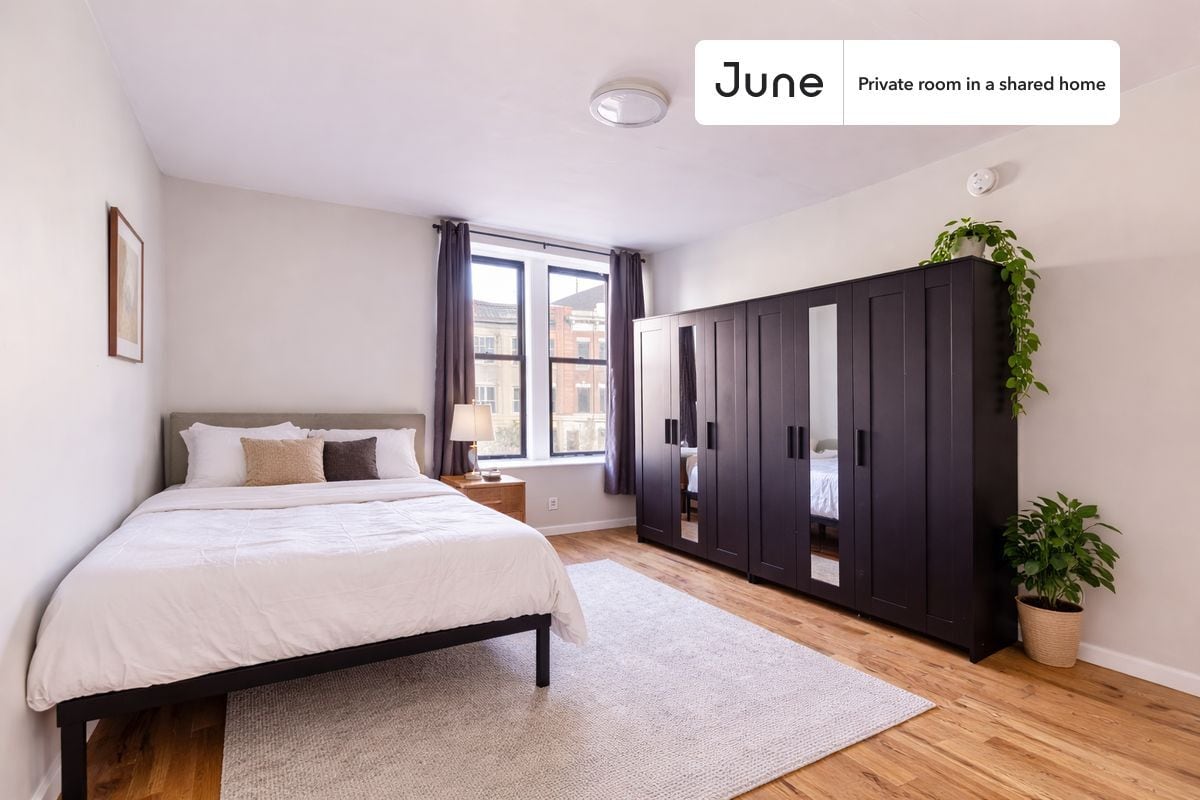 Room in Shared 4 bed/2 bath home - Room in Shared 4 bed/2 bath home