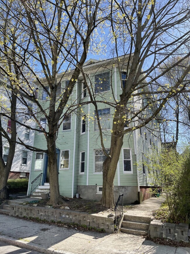 41 Freeland St Unit 1, Worcester, MA 01603 Room for Rent in Worcester