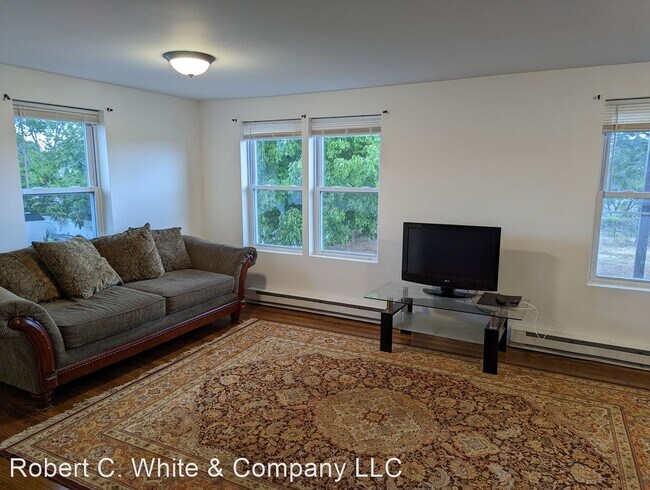 Building Photo - 3 br, 1 bath House - 409 Burr Street