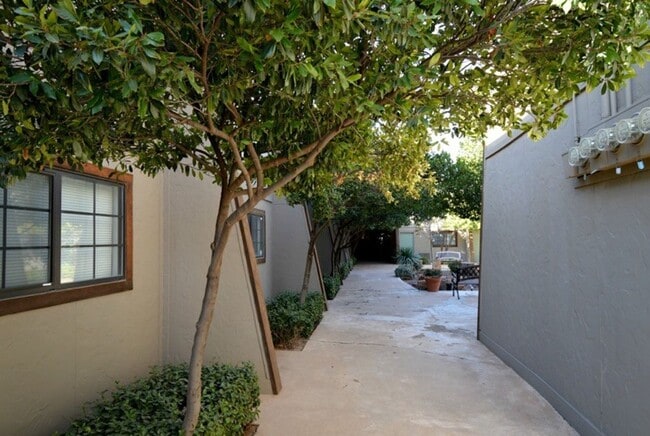 Interior Photo - Bear Creek Apartments and Studios