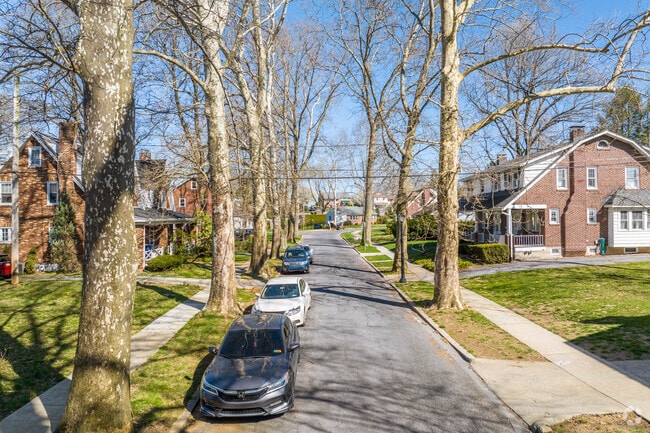 Peaceful, tree-lined streets create a welcoming atmosphere in Sinking Spring.