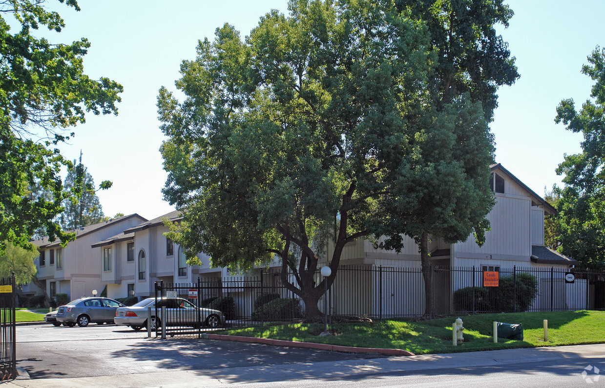 Primary Photo - College Oak Townhomes