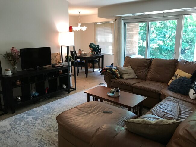 Living Room into Dining Room - 3814 Lyndhurst Dr