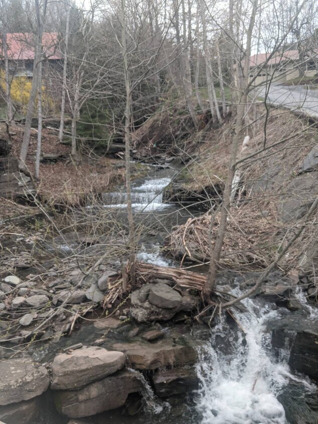 106 Little Red Kill Rd Unit A, Fleischmanns, NY 12430 Room for Rent