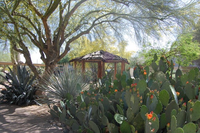 Jardín de cactus - Emparrado