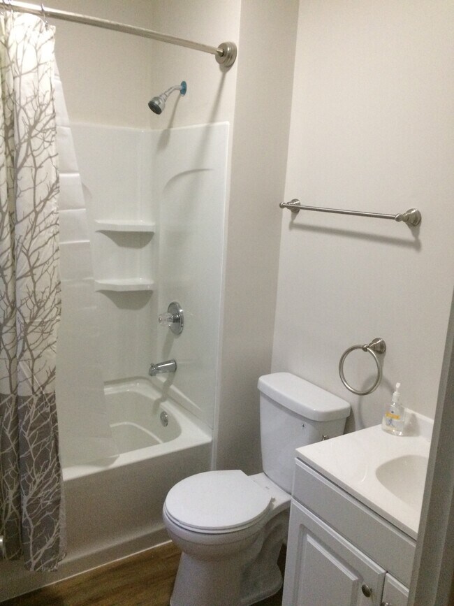 Main bathroom - 227 McGregor Ave