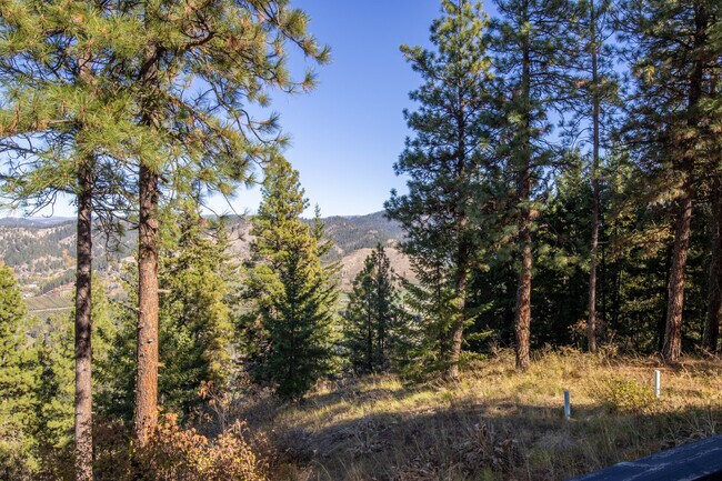 Foto del edificio - 981 Nighthawk Ridge Ln