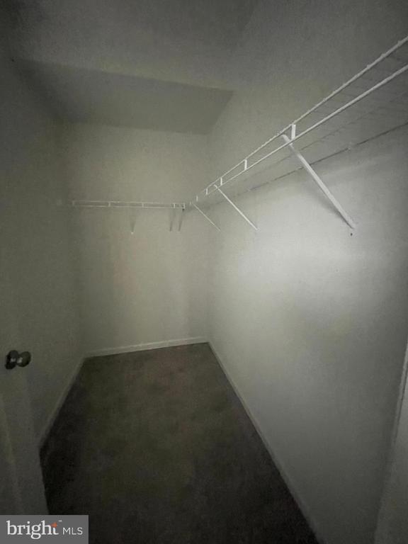 Building Photo - 301 Starry Way Dr