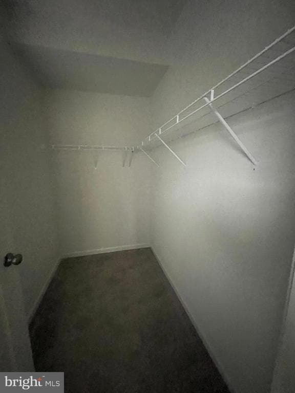 Foto del edificio - 301 Starry Way Dr
