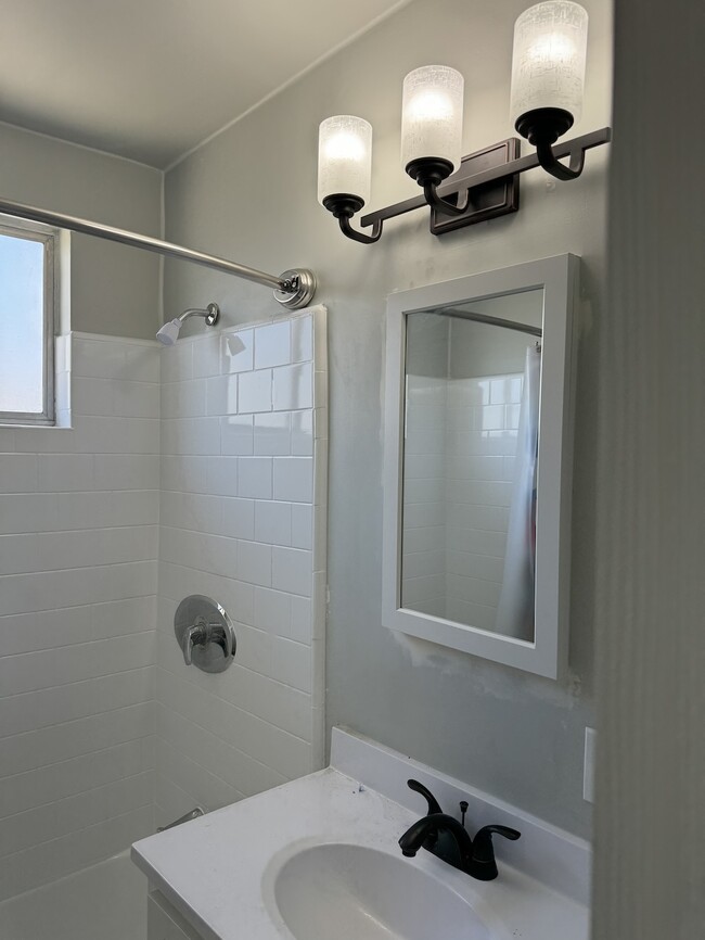 Bathroom fully renovated - 319 N La Fayette Park Pl