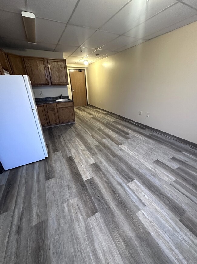 1-Bedroom Kitchen and Living Area - Madison Street Apartments