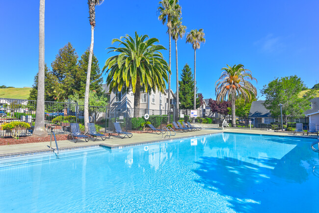 Building Photo - Bay Vista at Meadow Park