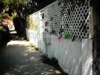 Walkway - 710 Copeland Ct