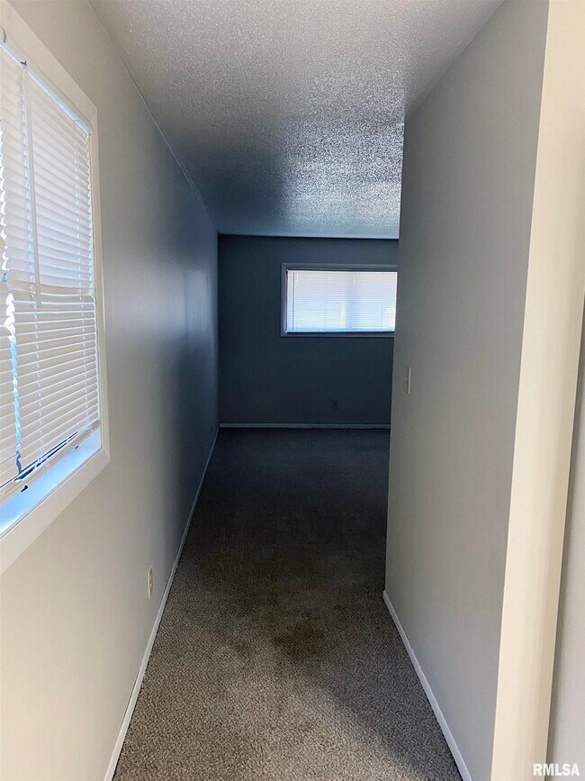 2618 W Willowlake Dr Unit 211, Peoria, IL 61614 Room for Rent in