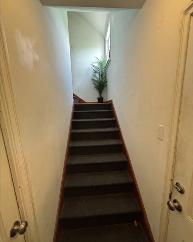 Building Photo - Studio space w/ private bathroom in Lakewood
