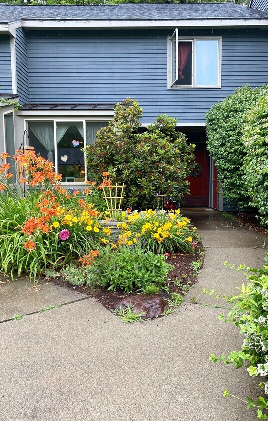 Front garden in spring time - 911 Dorset St