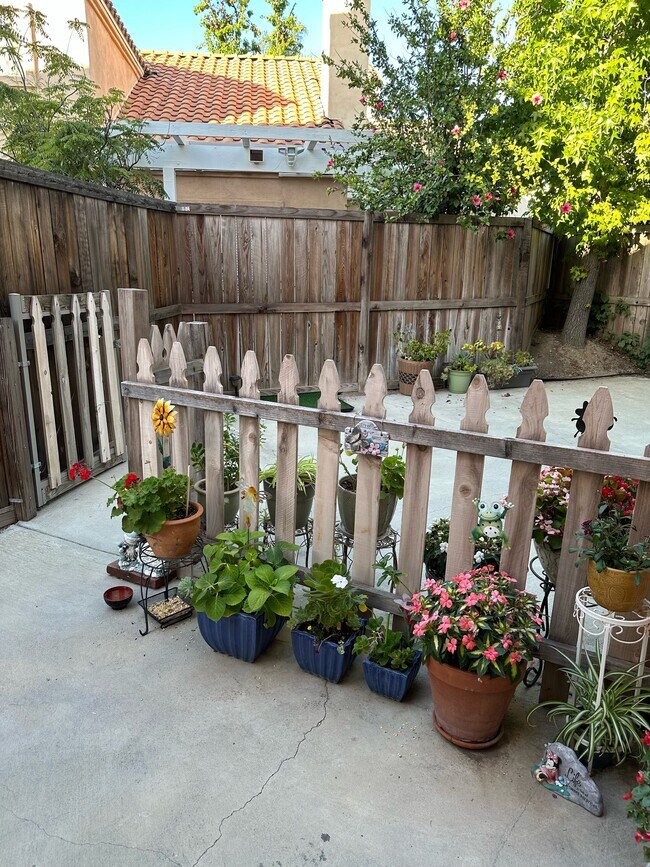 Backyard - Southside - 4371 Oak Glen St