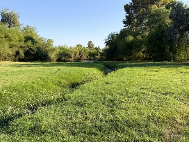 Foto del edificio - 7808 E Heatherbrae Ave