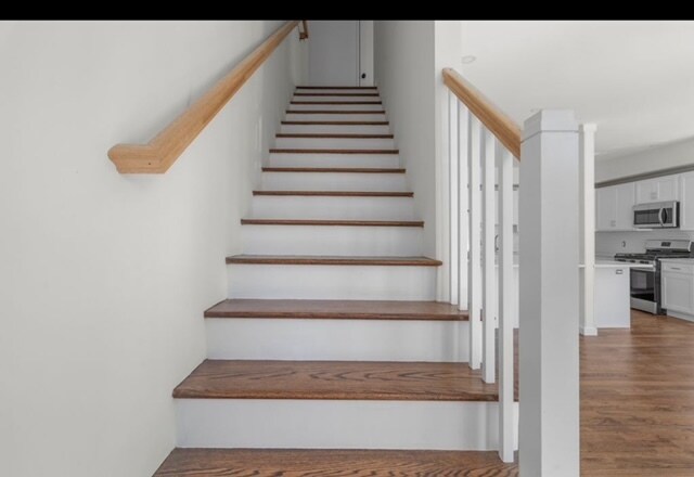 Stairs - 583 Gregory St