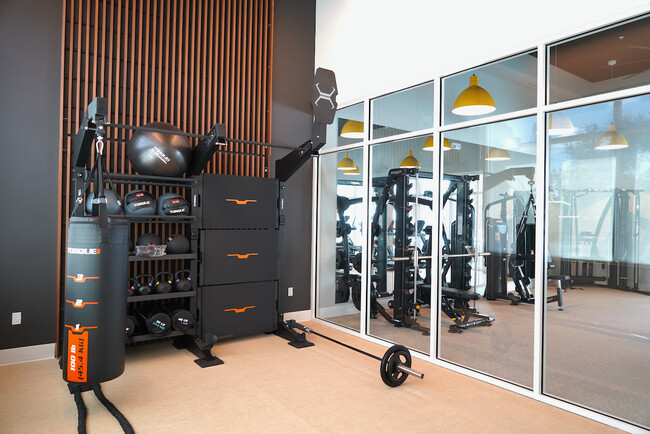 Estudio de Especialidades en Gimnasio Moderno - Aviara East Pompano