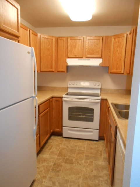Building Photo - 1300 Mount Sopris Dr