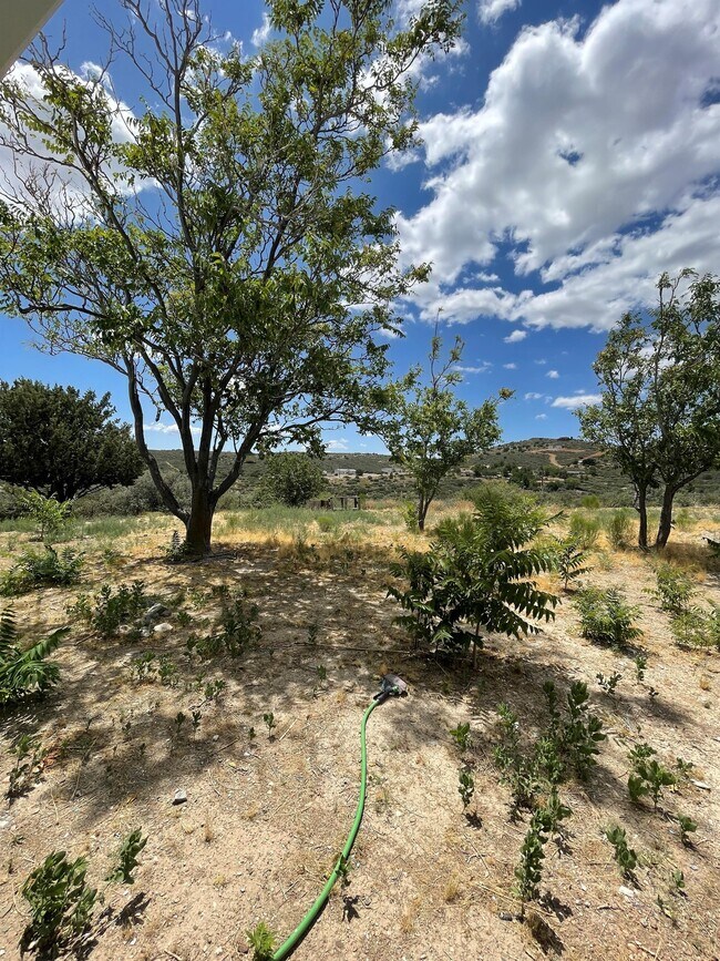Building Photo - 10736 S Cholla Cir