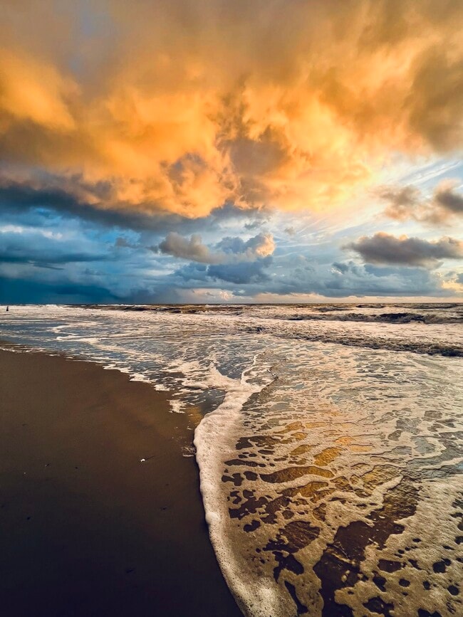 Building Photo - 3443 Gulf Shore Blvd N