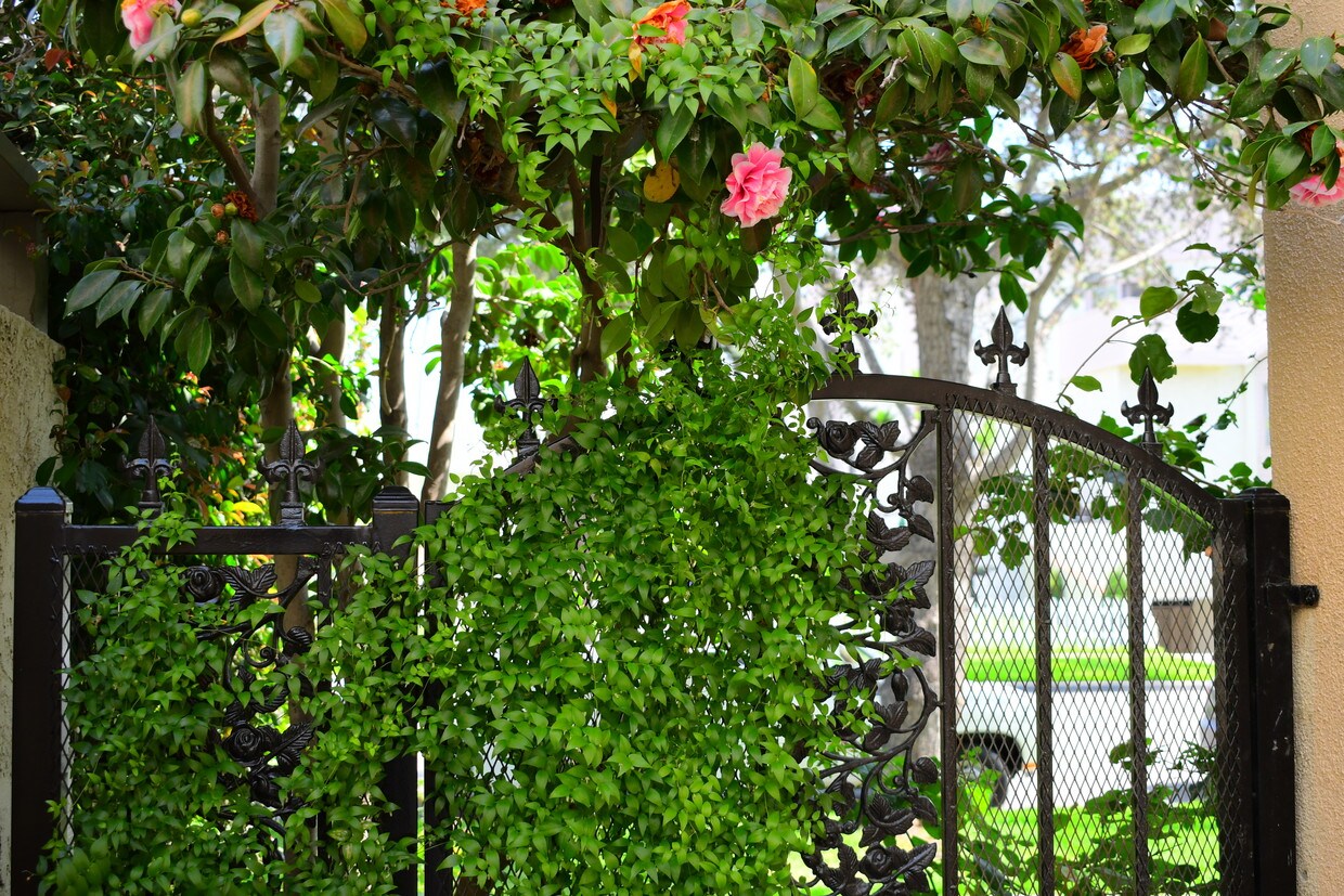 1028 12th St, Santa Monica, CA 90403 Apartments Santa Monica, CA