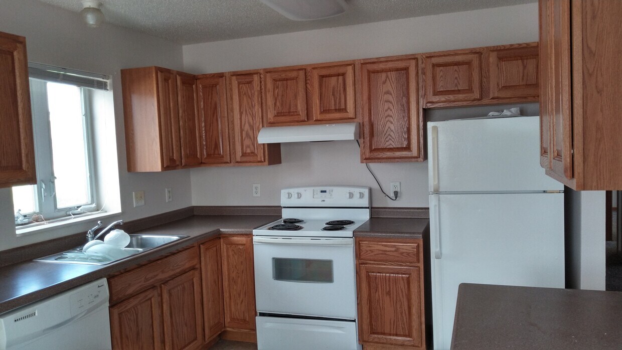 1118 Madison St Unit 1118, Vermillion, SD 57069 Apartments in