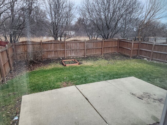 Backyard - 1619 Estate Cir